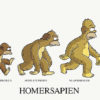 Evolution of Homer Simpson